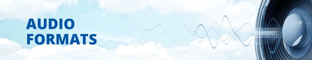 Transcribing Services Audio Formats - TranscriptionWing