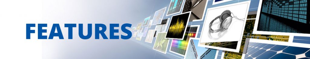 Transcribing Services Features - TranscriptionWing